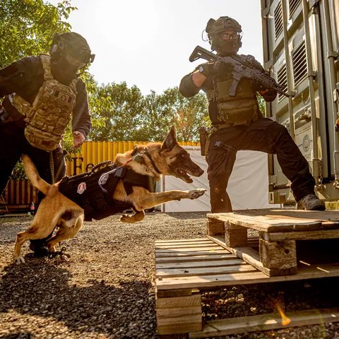 K9 unit deployed on site