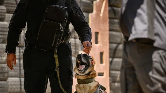 K9 Protection Units
