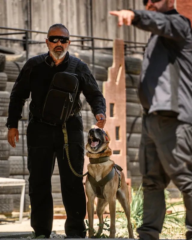 K9 handler command training