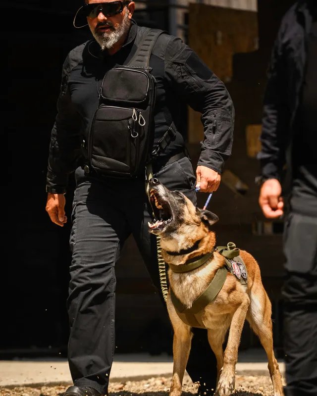 K9 handler on site
