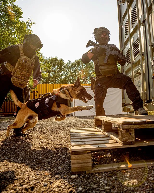 K9 unit in action