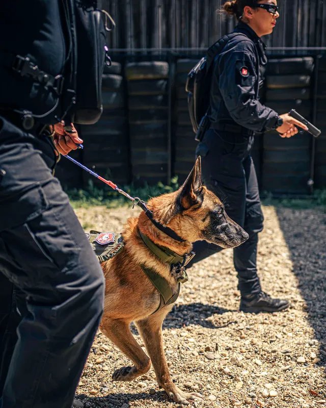 K9 handler team on site